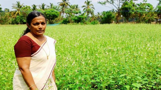 P Bhuvaneswari’s determination and hard work turned barren land into fields of gold, where she harvests paddy, vegetables and fruits