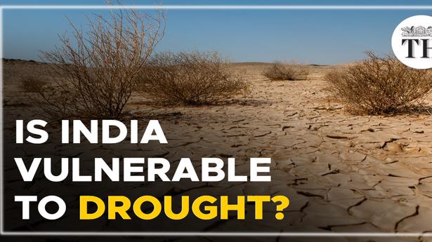 Watch | Is India vulnerable to droughts?