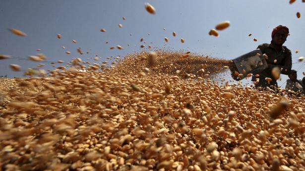 Egypt contracts to buy 180,000 tonnes of wheat from India: Supply minister