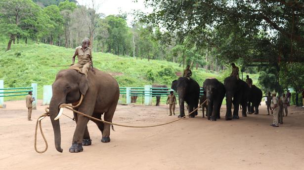 The elephant tamers of Anamalai Hills