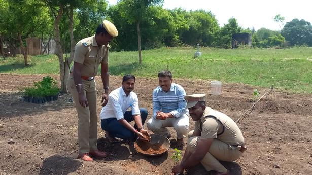 Vellore Central Prison gets more fruit bearing trees