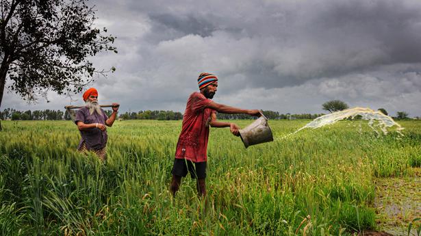 Data | Heat wave in Punjab may curtail India’s wheat exports