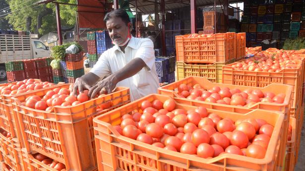 Wholesale price of tomato drops to ₹5 a kg in Erode
