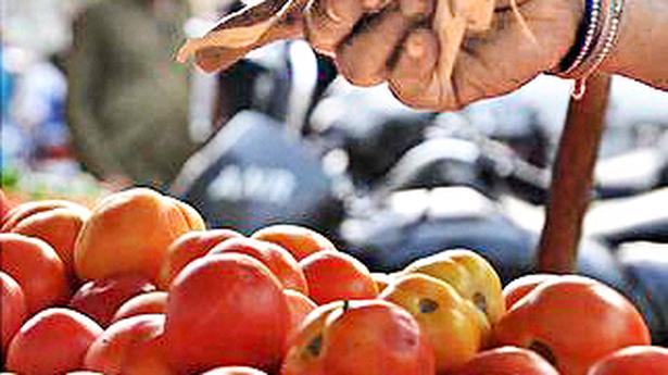 Retail prices of tomato skyrocket up to ₹77 per kg in metro cities, barring Delhi