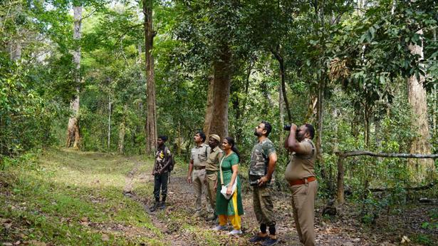 Forest areas covered in third phase of synchronised bird survey of ATR