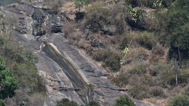 Streams flowing in Mudumalai Tiger Reserve dry up as summer sets in 