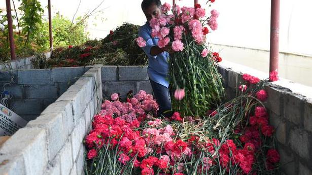 Farmers abandon floriculture as pandemic cripples industry in the Nilgiris