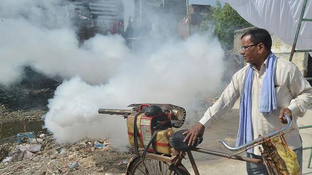 Dengue cases cross 1,000 mark in city