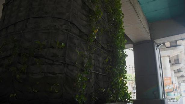 Vertical gardens to get a fresh lease of life