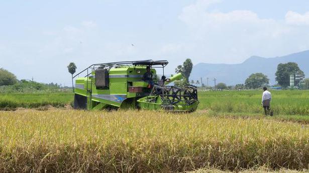 Paddy harvesting begins in double crop area