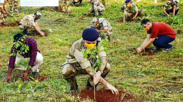 CISF takes up plantation drive