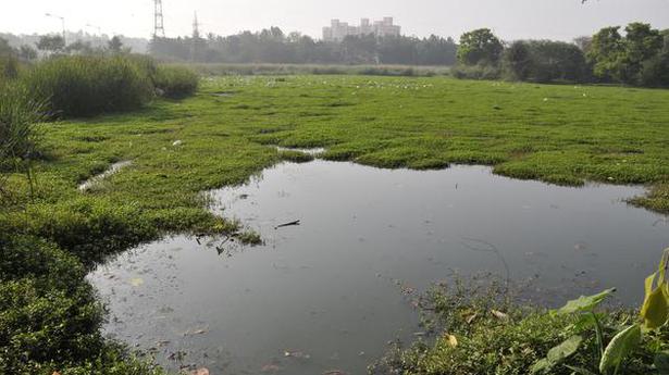 Transfer of lake conservation reserve to BBMP quashed