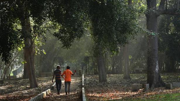 Urban green spaces in Bengaluru are 2.23 degree Celsius cooler: Study