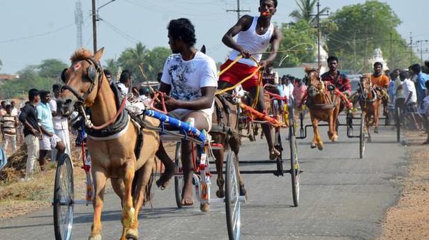 50 personas detenidas por intentar carreras de carros en Chennai - Noticias  Ultimas