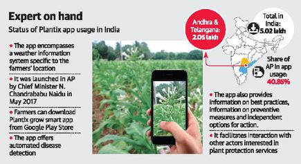 Farmers counter pests through tech - The Hindu