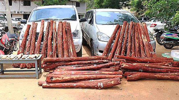 Arrest of forest staff in red sanders’ smuggling creates flutter