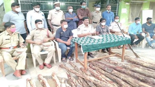Two arrested, redsanders logs seized