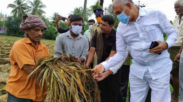 Paddy farmers to be given compensation before the end of Kharif 2021-22, says Minister Ch.Venu Gopala Krishna