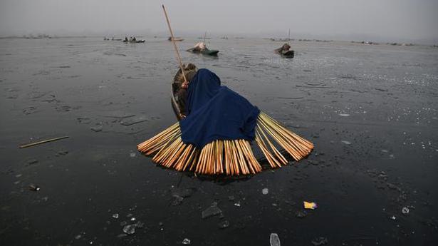 Look  Shadow Fishing in Kashmir