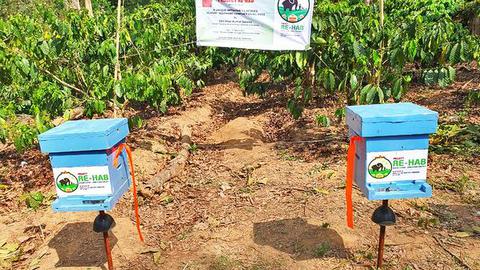   Bee boxes installed across the elephant paths by the KVIC as part of Project Re-Hab in Kodagu. Photo: Special arrangement  