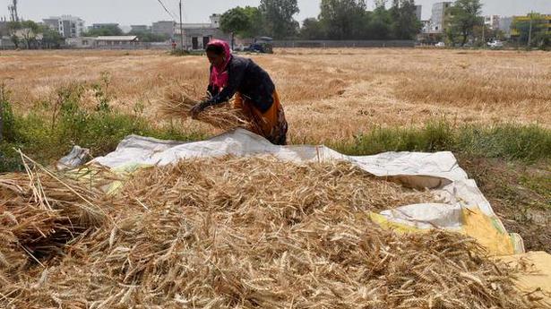 Amid protests, Centre hikes minimum support price for rabi crops