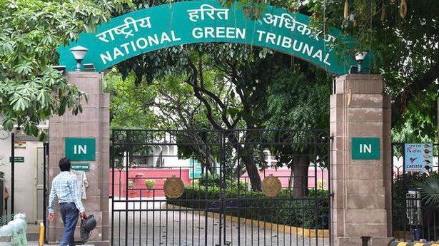 National Green Tribunal needn’t wait for ‘Godot’ to save environment: Supreme Court