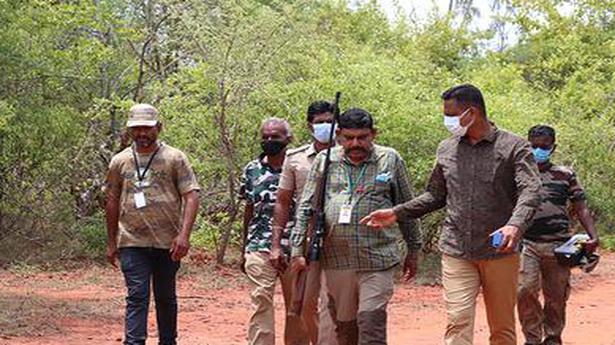 Baahubali eludes officials of Forest Dept. for second day
