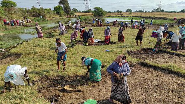 Workers under the Mahatma Gandhi National Rural Employment Guarantee (MGNREGA) scheme. Photo used for representation purpose only.