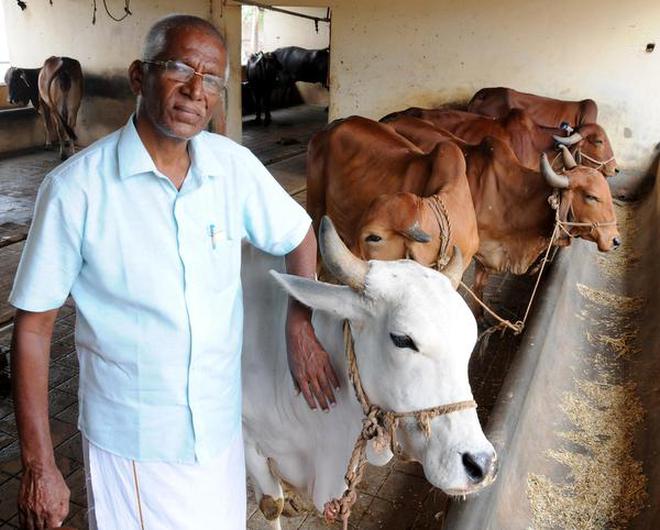 cow shed construction cost in tamilnadu