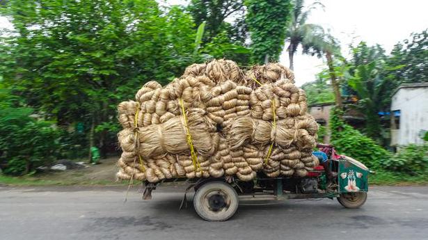 Government increases minimum support price for jute